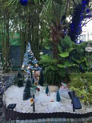 Eastwood Ville (D16), Terrace #136351452